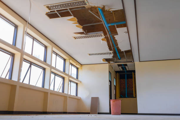 Best Commercial water damage restoration  in New Madrid, MO