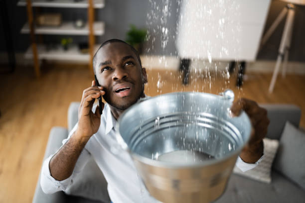 Best Basement water damage restoration  in New Madrid, MO