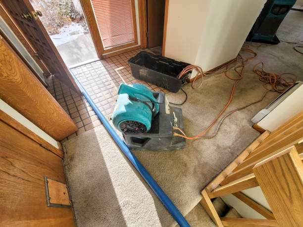 Best Water damage restoration near me  in New Madrid, MO