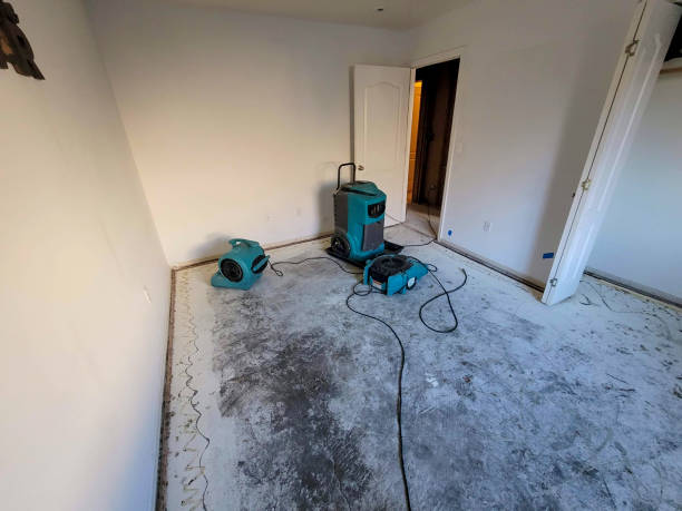 Best Carpet water damage restoration  in New Madrid, MO