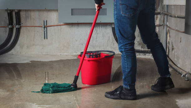 Best Fire Damage Restoration  in New Madrid, MO