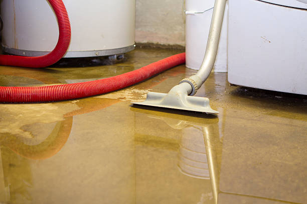 Best Fire Damage Restoration  in New Madrid, MO