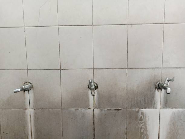 Best Water damage restoration near me  in New Madrid, MO