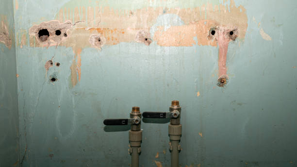 Best 24/7 water damage repair  in New Madrid, MO