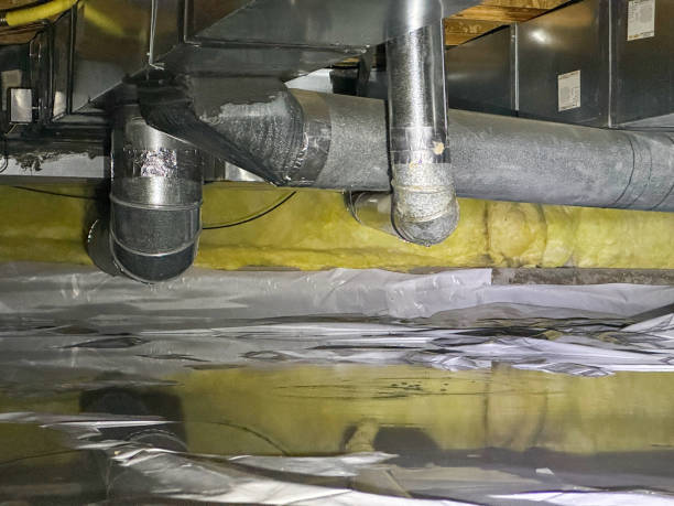 Best Professional water damage repair  in New Madrid, MO