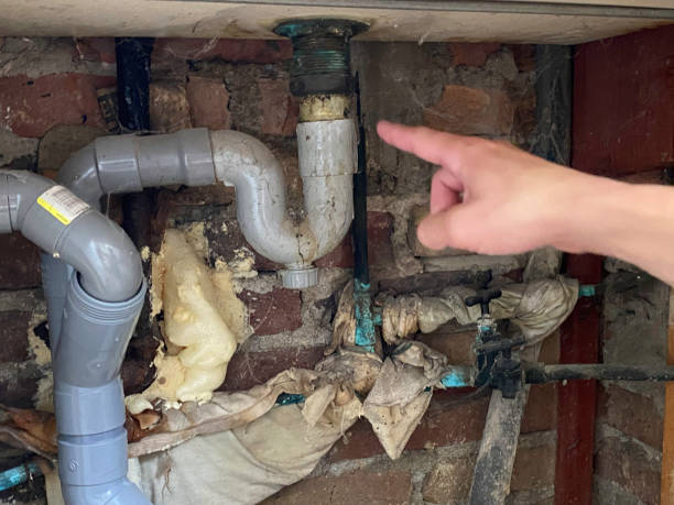 Best Water damage contractors near me  in New Madrid, MO