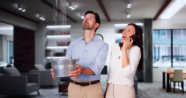  New Madrid, MO Water damage restoration Pros