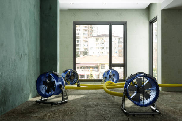 Best Residential water damage restoration  in New Madrid, MO